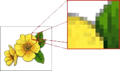 Digital Image | e-Join